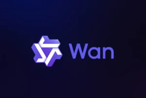 wan-905x613