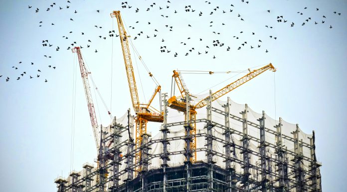 Future of No-Code Development: What AI Agents Mean for Builders in 2026